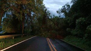Rodovias gaúchas têm quase 80 pontos de bloqueios