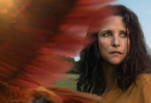 Crítica | Tuesday – O Último Abraço