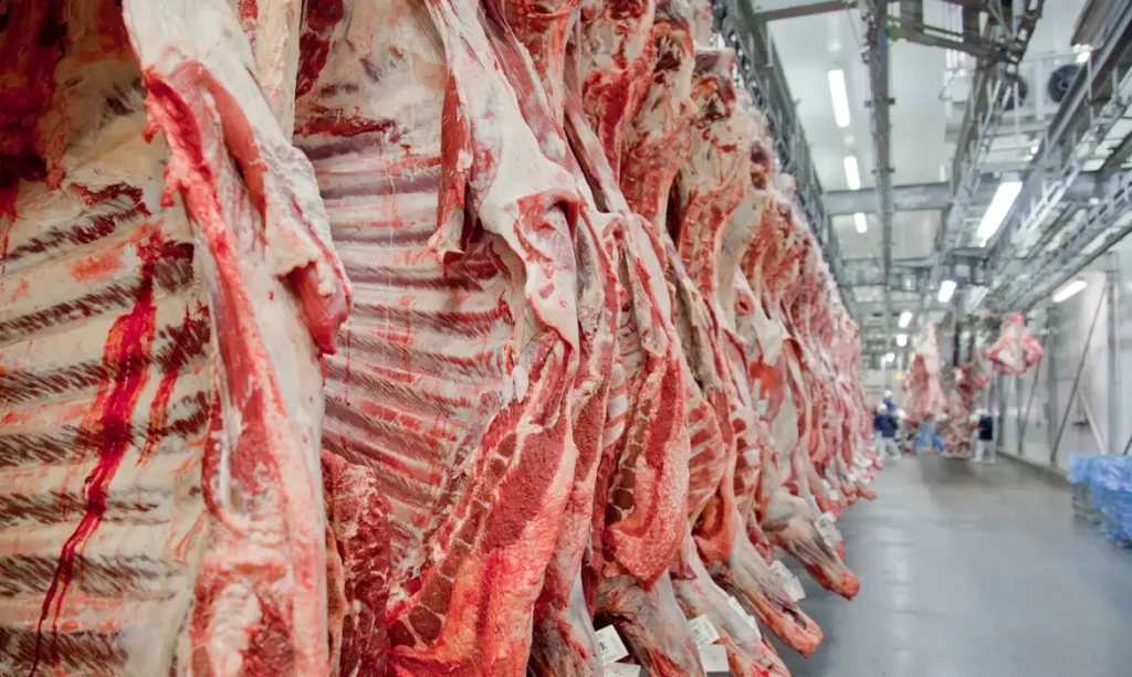 Exportação de carne bovina bate recorde em julho, mês anterior ao tarifaço dos EUA