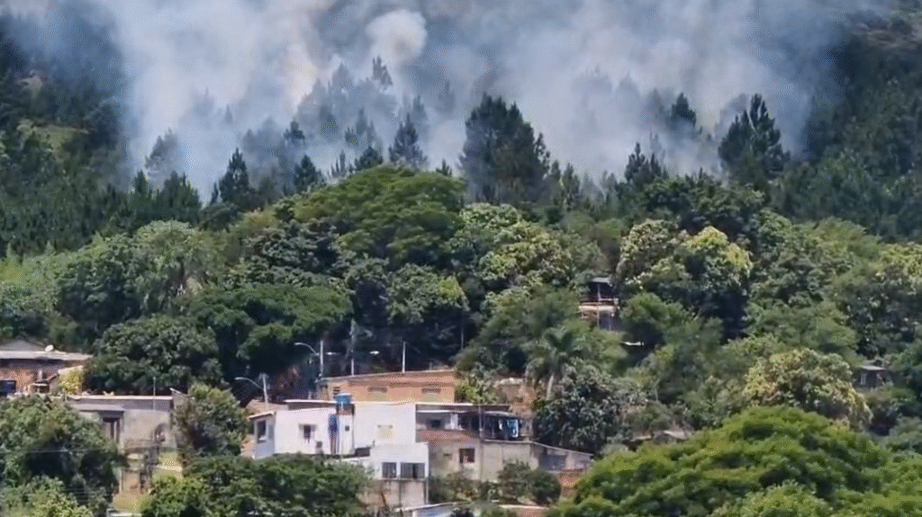 Vídeo: Incêndio atinge área próxima à trilha do Morro Santana, na zona leste de Porto Alegre