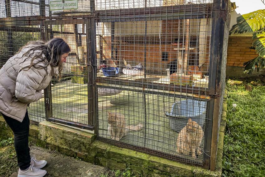 Feira Me Adota realiza última edição do ano neste sábado em Porto Alegre