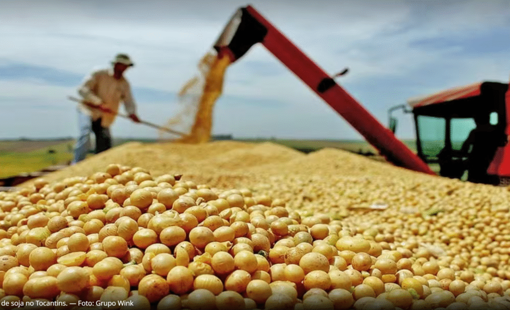 Agropecuária cresce 11,7% e lidera expansão do PIB brasileiro em 2025