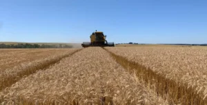Agronegócio gaúcho movimenta US$ 3,2 bilhões em exportações no primeiro trimestre de 2026