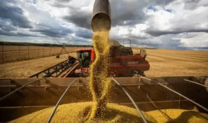 PIB do Rio Grande do Sul fica estável no primeiro trimestre, apesar da queda no agronegócio