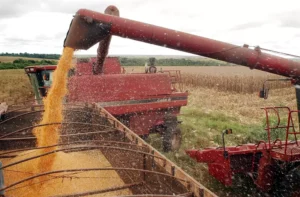 Puxado pela agropecuária, PIB brasileiro cresce 0,5% no segundo trimestre