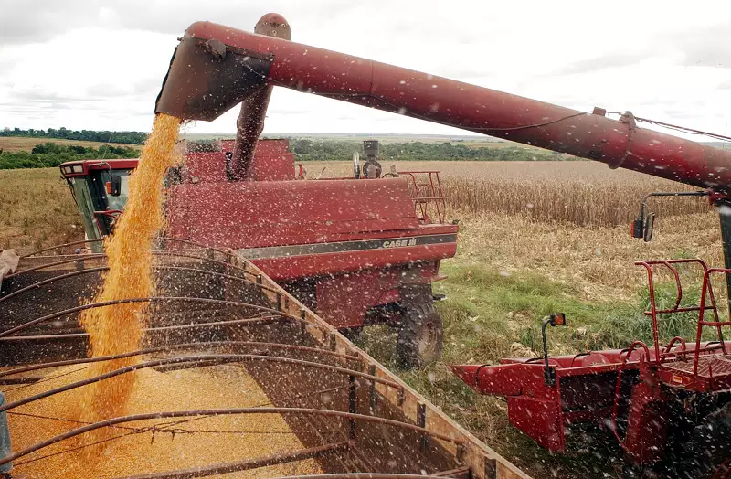 Puxado pela agropecuária, PIB brasileiro cresce 0,5% no segundo trimestre