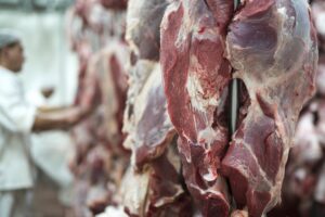 União Europeia suspende importação de carnes e outros produtos de origem animal do Brasil