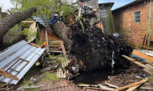 Temporais deixam quatro mortos e atingem 151 municípios no Rio Grande do Sul